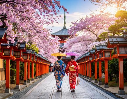 桜の満開の京都風な風景を歩く芸者 桜の満開の京都風な風景を歩く芸者の写真