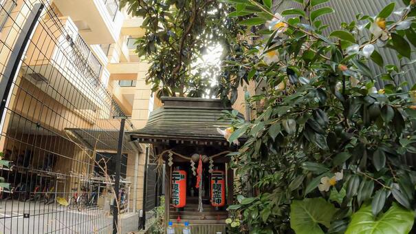 入谷エリアの歴史スポット 二十原霊神 二十原霊神,神社,祠の写真素材