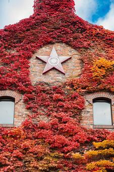 北海道　札幌ファクトリーの秋の風景 北海道,札幌,札幌市の写真素材