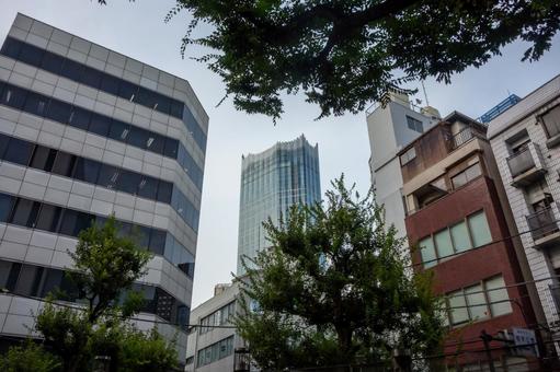 新宿の街並み 新宿の街並み 新宿,オフィスビル,西新宿の写真素材