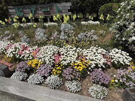 garden, JPG
