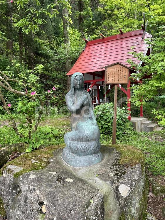 御座石神社のたつこ姫像 御座石神社,たつこ姫像,田沢湖の写真素材