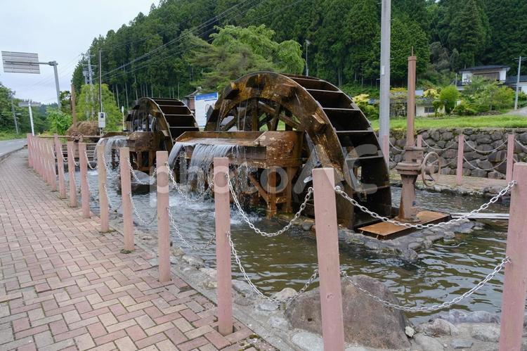 新緑に囲まれた二連水車の風景 新緑,水車,二連水車の写真素材