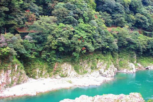 徳島県-大歩危 徳島県-大歩危 大歩危,吉野川,天然記念物の写真素材