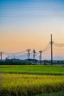 鹿児島の夕暮れの町並み 鹿児島,鹿児島県,夕暮れの写真素材