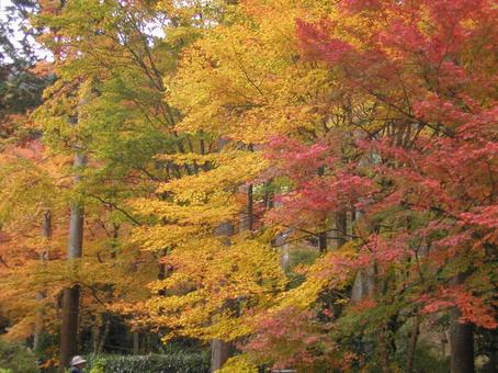 京都 大原 京都 大原の写真