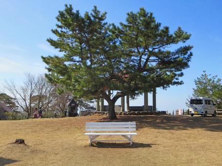 小豆島の寒霞渓にあるハート松ベンチ ハート松ベンチ,寒霞渓,小豆島の写真素材