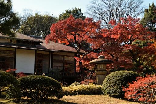 小石川後楽園の風景 小石川後楽園の風景 小石川後楽園,東京都,紅葉の写真素材