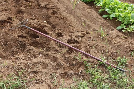 レーキ(引き) レーキ,熊手,道具の写真素材