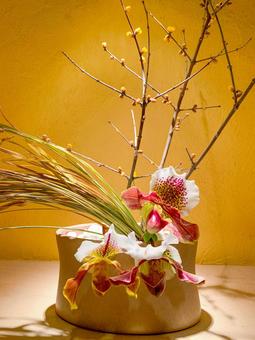 生け花 和,美,自然の写真素材