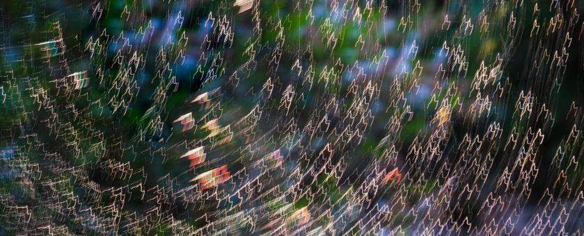 光の動き 光の動きの写真
