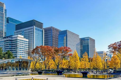 高層ビルと色づいた木々が並ぶ美しい街並み 高層ビル,都市風景,丸ノ内の写真素材