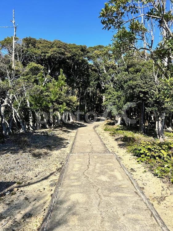 燈明台　公園　海岸　山見台　観光 燈明崎山見台跡,和歌山県東牟婁郡太地町,太地古式捕鯨の写真素材