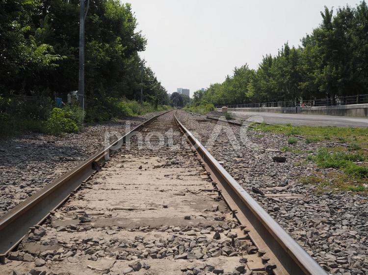 長く続く線路 線路,長い,続くの写真素材
