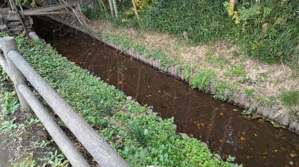 小川のせせらぎ 小川のせせらぎ,小川,自然の写真素材