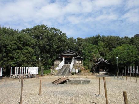 愛知県-興正寺-大日堂と鎮守社 愛知県-興正寺-大日堂と鎮守社 興正寺,寺,八事山の写真素材