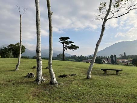 蒜山高原 蒜山高原 空,木,風景の写真素材