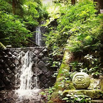 滝 滝の写真