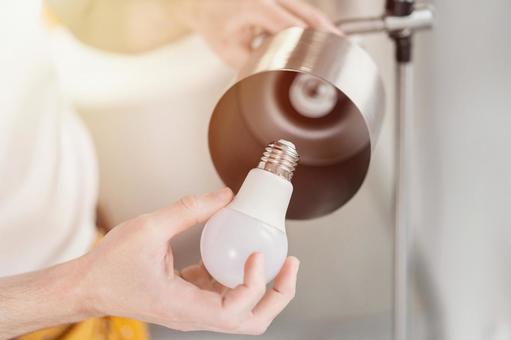 電球を交換している人の手 電球を交換している人の手 電球,持つ,手元の写真素材