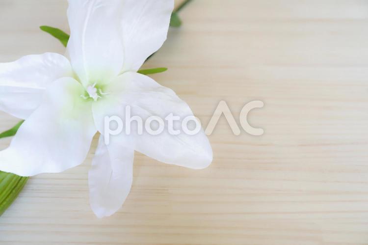 白い花のイメージ写真 白い花,花,フラワーの写真素材