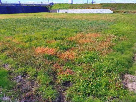 空き地 空き地,空地,空間地の写真素材