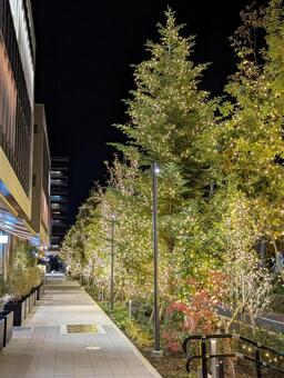 イルミネーション イルミネーション,夜景,道の写真素材