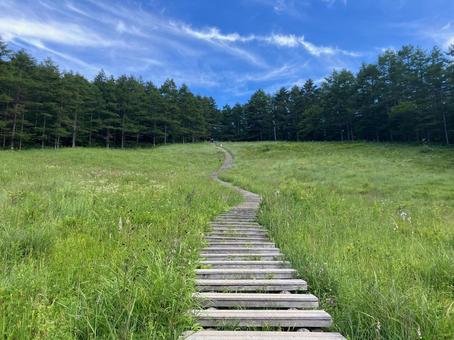 入笠山の入笠湿原風景 入笠山の入笠湿原風景の写真