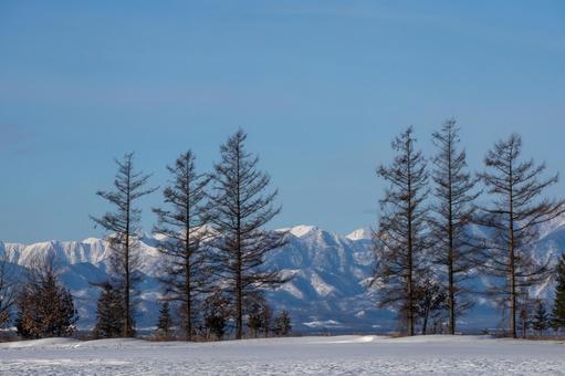 林のある丘から日高山脈を望む 林のある丘から日高山脈を望むの写真