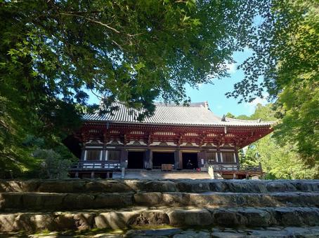 神護寺 神護寺の写真