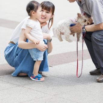 子供 初めての動物 子供 初めての動物 女性,人物,日本人の写真素材