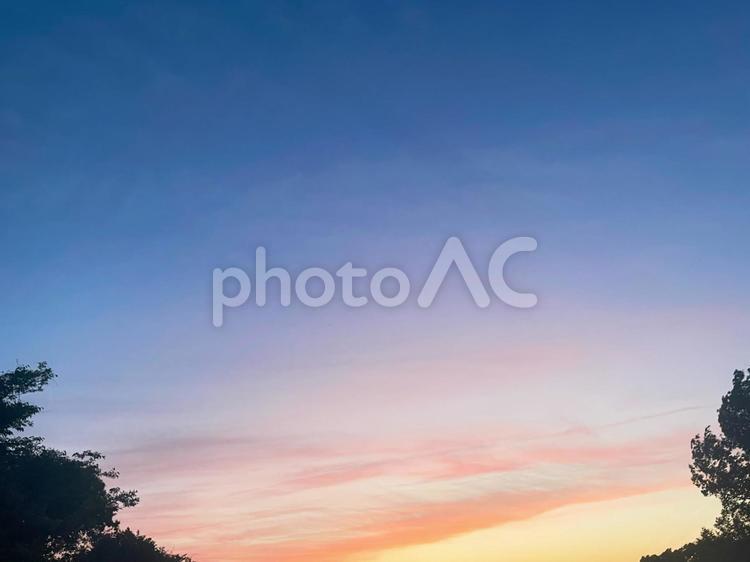 ピンクと紫の夕焼け雲と木々の風景 夕焼け,空,グラデーションの写真素材