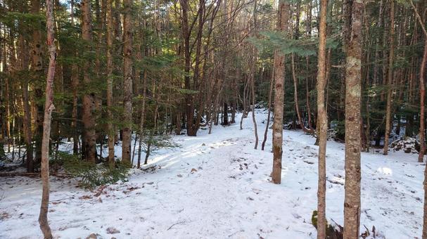 蓼科山登山道 蓼科山登山道の写真
