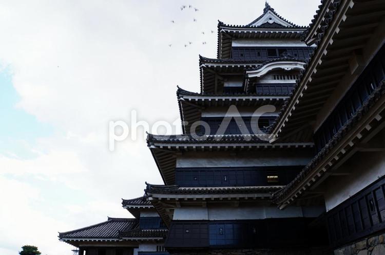 国宝松本城　天守閣 城,建物,黒の写真素材