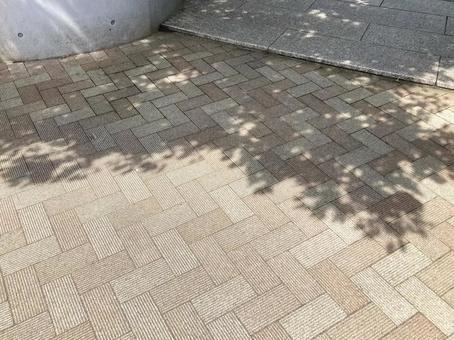 木漏れ日の影 街角の風景 木漏れ日の影 街角の風景 影,地面,木漏れ日の写真素材