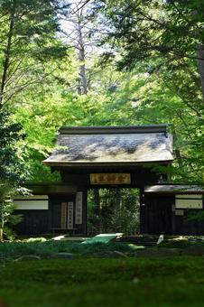 東香山大乘寺 風景,緑,日本の写真素材
