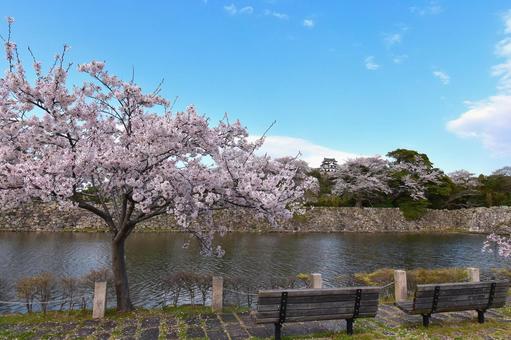 彦根城 彦根城 城,彦根,彦根城の写真素材