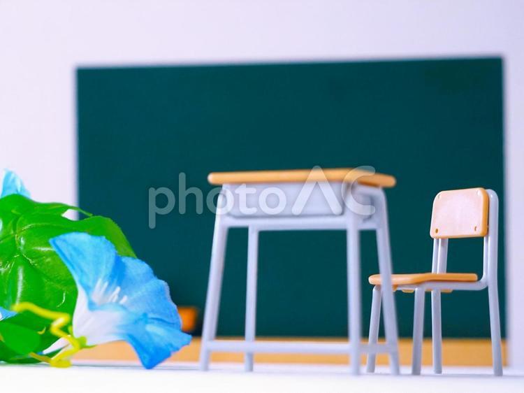 朝顔、机、黒板（ローアングル） 学校,朝顔,机の写真素材