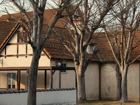 小屋 小屋,木,枯れ木の写真素材