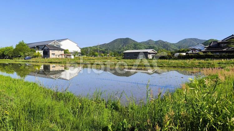 日本の水田水鏡 水田,田んぼ,水鏡の写真素材
