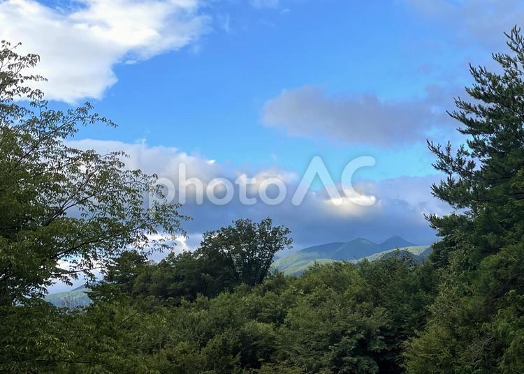雲がかかる山々と雑木林 夏空,雲,山々の写真素材