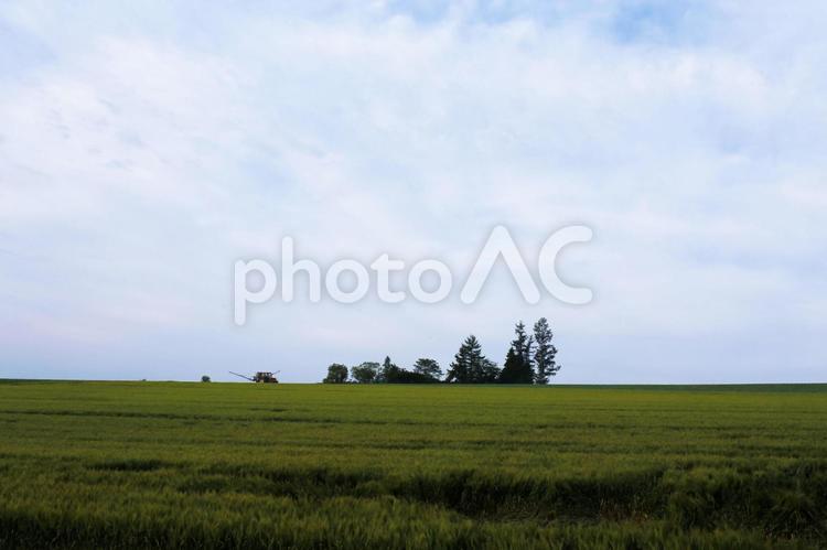 美瑛の風景 美瑛,北海道,風景の写真素材