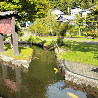 大堰公園(山形県金山町) 大堰公園(山形県金山町)の写真