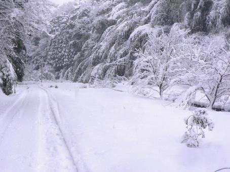 大雪で道路に積もった雪とわだち3 わだち,轍,道路の写真素材