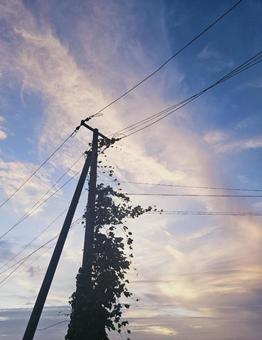 止まった世界 止まった世界の写真