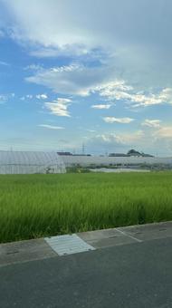 農業のイメージ 農業のイメージ 農業,田んぼ,農家の写真素材