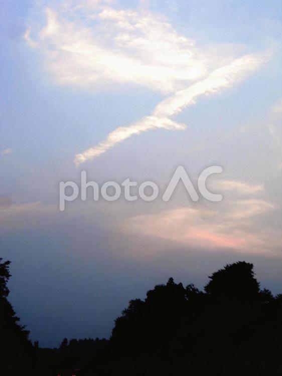 雲の鳥 雲,鳥,空の写真素材