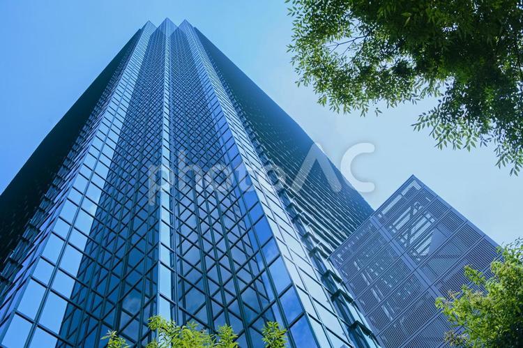 オフィスビル　緑の木 木,緑,葉の写真素材