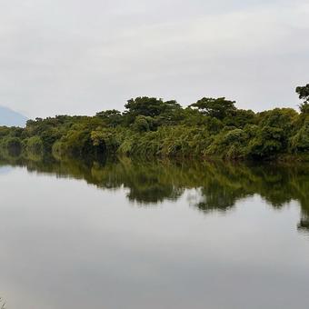 川 川の写真