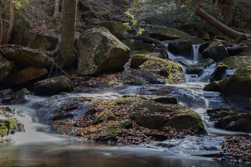 秋の渓流と紅葉 紅葉,秋,風景の写真素材