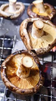 秋の味覚　椎茸の炭火焼きの写真